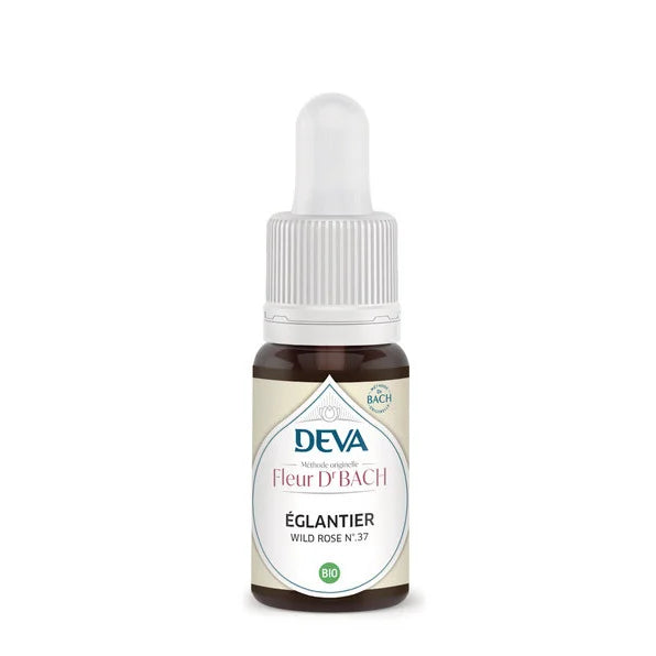 DEVA -- Eglantier (wild rose- n�37)