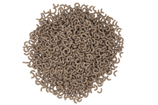 Coquillettes blé complet bio - 1