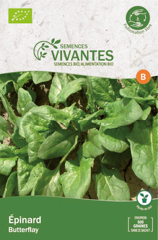 Semences Vivantes -- Épinard butterflay bio - Sachet de 500 graines