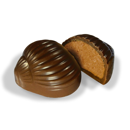 Saveurs & Nature -- Escargots praliné enrobés de chocolat noir bio Vrac - 54 pièces