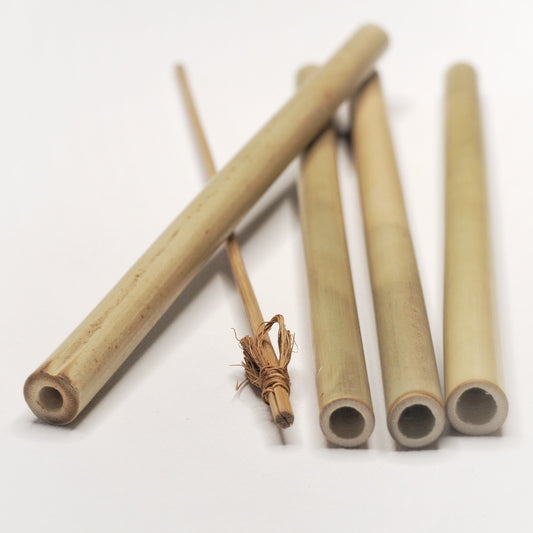 My Boo Company -- Kit de 4 pailles en bambou 20 cm - 100% française Vrac